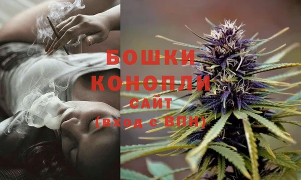 стафф Горняк
